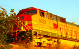 Aguiar Ag Group, Inc. Train Transportation